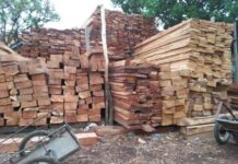 Guinée : l’exploitation et le commerce du bois interdits sur tout le territoire
