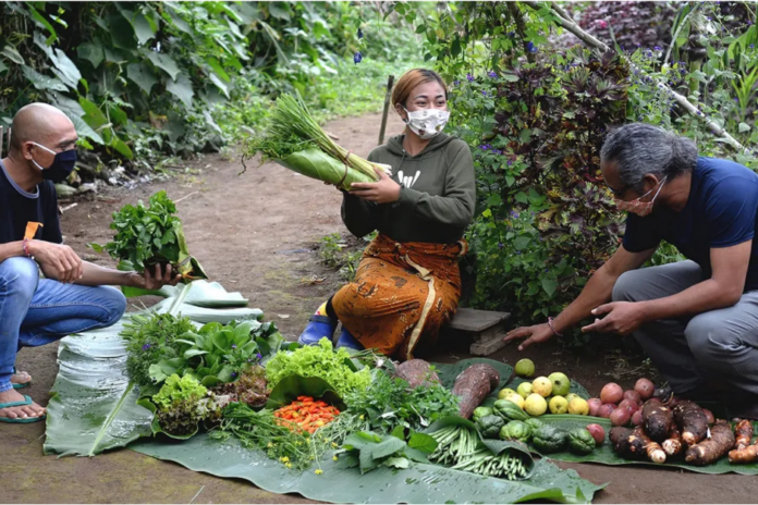 649adfab2fb84c52fc8cdadd_Regenerative agriculture issue page (1)