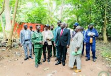 Environnement : le ministre Fassou Théa annonce la réhabilitation du Jardin botanique de Camayenne