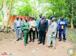 Environnement : le ministre Fassou Théa annonce la réhabilitation du Jardin botanique de Camayenne