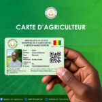 Carte d’Agriculteur : le producteur guinéen désormais mieux identifié