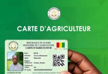 Carte d’Agriculteur : le producteur guinéen désormais mieux identifié