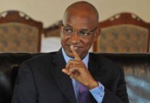 UFDG : Cellou Dalein Diallo empêché de voyager
