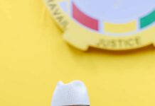 Assemblée nationale : Dr Dansa Kourouma insiste sur la transparence dans la gestion du prêt de 300 millions d’euros pour la route Labé–Tougué