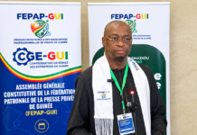 Presse privée : Amadou Tham Camara élu président de la FEPAP-GUI